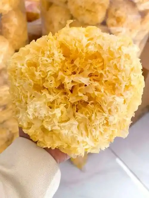 银耳花